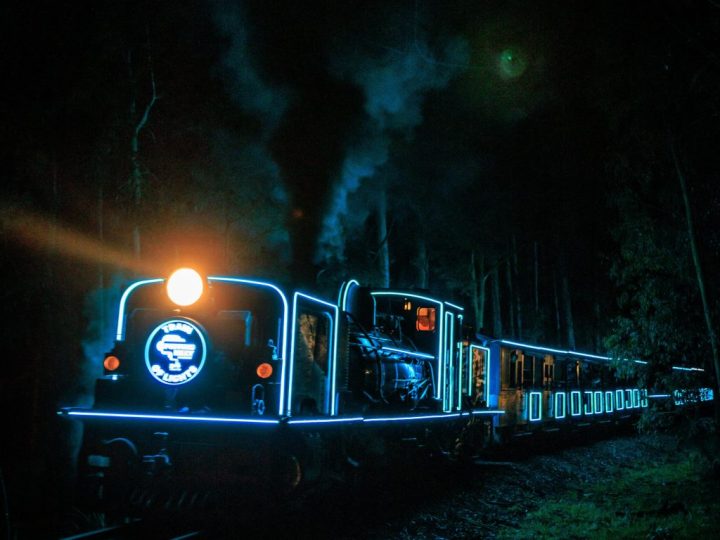 Chase the Train of Lights – SIGHT-SEEING GUIDE